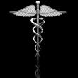 Photo en ligne au meilleur prix Silver caduceus medical symbol