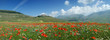 Castelluccio  Panoramica 40 / 110