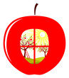 apple orchard in apple apple orchard in apple
