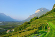 Trentino 02