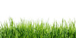 green grass