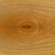 Teak wood surface close up