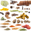 Spices and herbs Collection