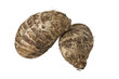Two Brown Hairy Malanga Tubers Two Brown Hairy Malanga Tubers