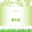 eco card