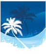 Palm trees on a beach