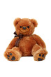 Studio shot of bear toy isolated on white background. Studio shot of bear toy isolated on white background.