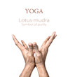 Yoga lotus mudra
