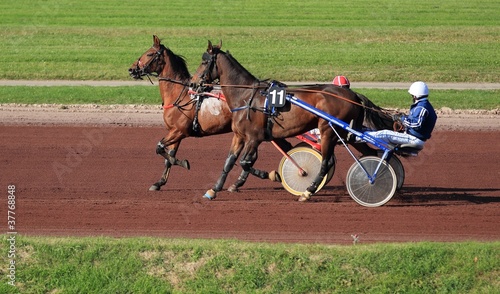 Photo: course de trot attelé course de trot attelé