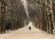 jardin publc