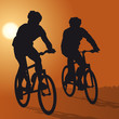 Sports - Vélo 3
