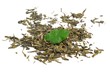 Grüner Blatt