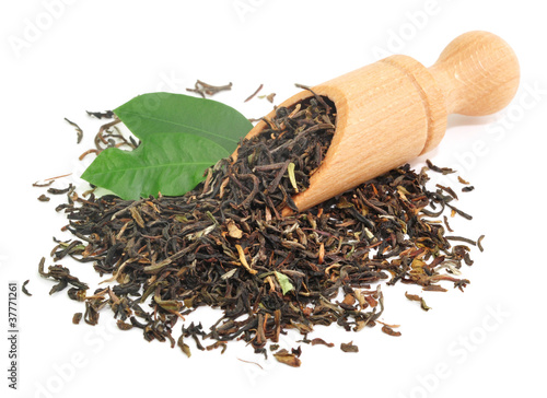 Foto: Teeblatt Teeblatt