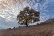On the hill....