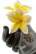 fleurs frangipanier, main bronze