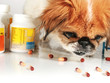 Photo en ligne au meilleur prix Veterinary care.