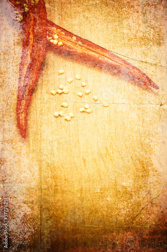 Photo: Peppers background in grunge style Peppers background in grunge style