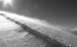 Winter storm in black and white Winter storm in black and white