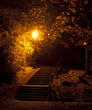 Start at night in a park Budapest Start at night in a park Budapest