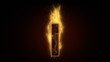 Fiery letter I burning in loop with particles