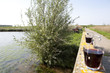 Holland