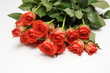 Rote Rosen