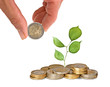Investment yo green technology Investment yo green technology