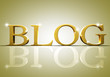 blog texto
