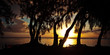 Crépuscule sous les filaos - Ile de La Réunion Crépuscule sous les filaos - Ile de La Réunion