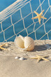 Strand-Stillleben mit Seesternen und Muscheln, Urlaubsträume
