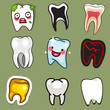 Human Teeth