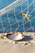 Foto: Strand-Stillleben mit Muscheln und Seesternen, Urlaub Strand-Stillleben mit Muscheln und Seesternen, Urlaub