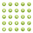Green Web Buttons