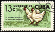 Rooster and hen on post stamp