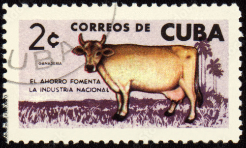 Photo: Cow on post stamp Cow on post stamp