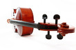 violoncelle - cello - couché