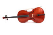 violoncelle - cello - couché