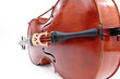 violoncelle - cello - couché