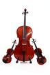 instruments à corde