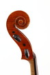 Foto: manche de violoncelle manche de violoncelle