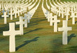 Florence American  War Cemetery in Tuscany, Italy, Europe