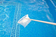 pool cleaning