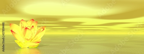 Illustration: Lily flower in yellow ocean Lily flower in yellow ocean