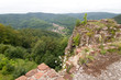 neuscharfeneck 3606