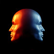 Two-faced head fire and ice statue