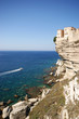 Bonifacio