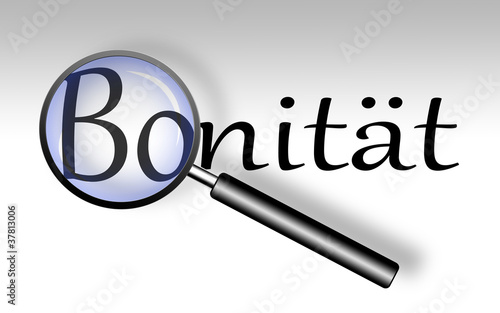 Illustration: Bonität - Lupe Bonität - Lupe