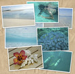 Holiday collage