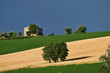 Colline marchigiane Colline marchigiane