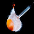 Orange water balloon exploding Orange water balloon exploding